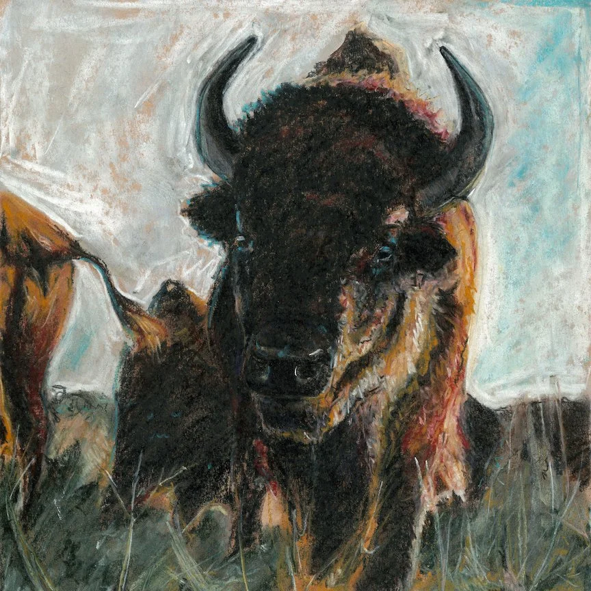 Buffalo Named 37SQUARE (1) copy.jpeg