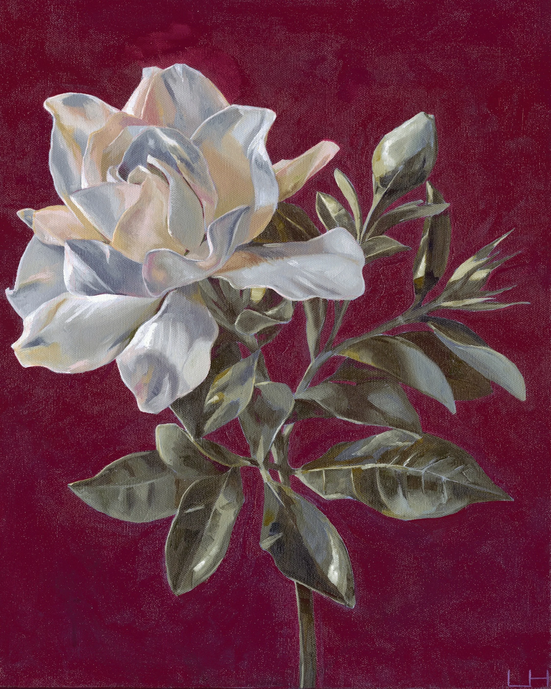 Magnolia2, edited for sharing copy.jpeg