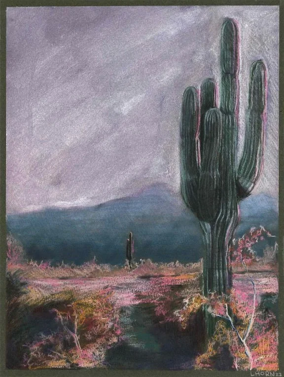 cactusEnhanced copy.jpeg