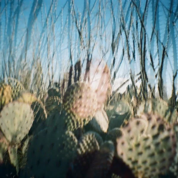Cactustown-DoubleExposure.jpg