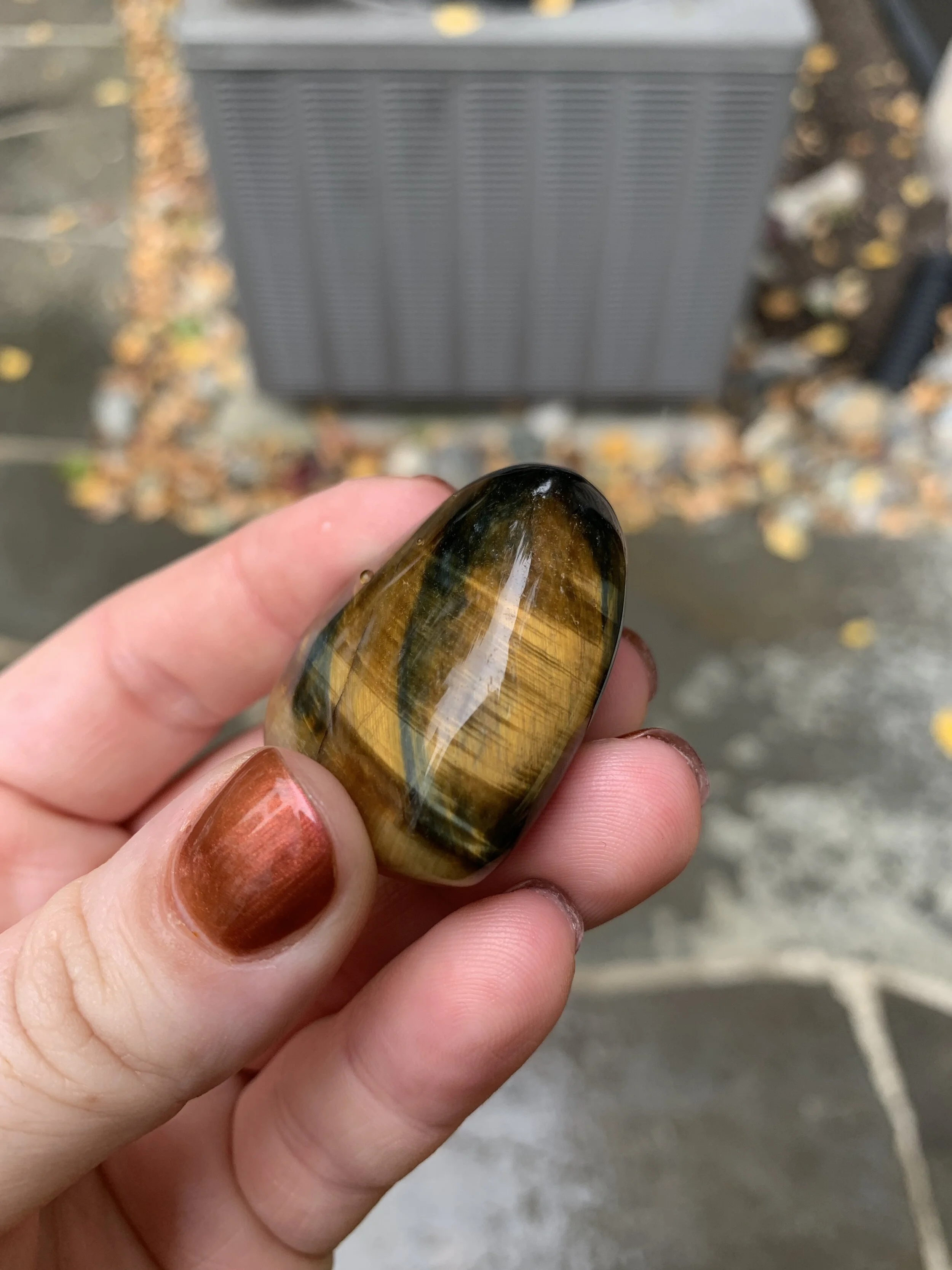 Free to B Tiger Eye Heart 3.JPEG