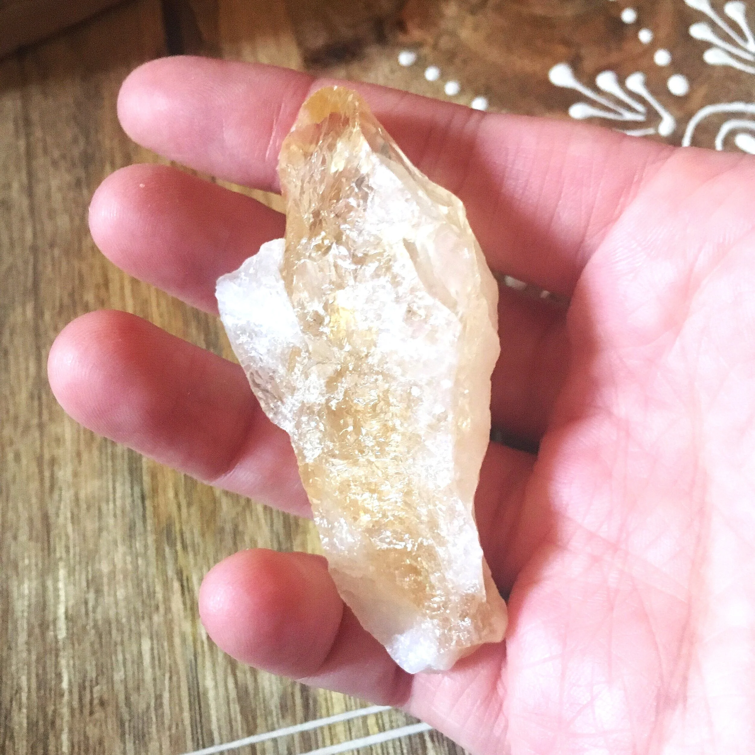 85E376F1-2D61-493C-92A7-56D40D60CF5C