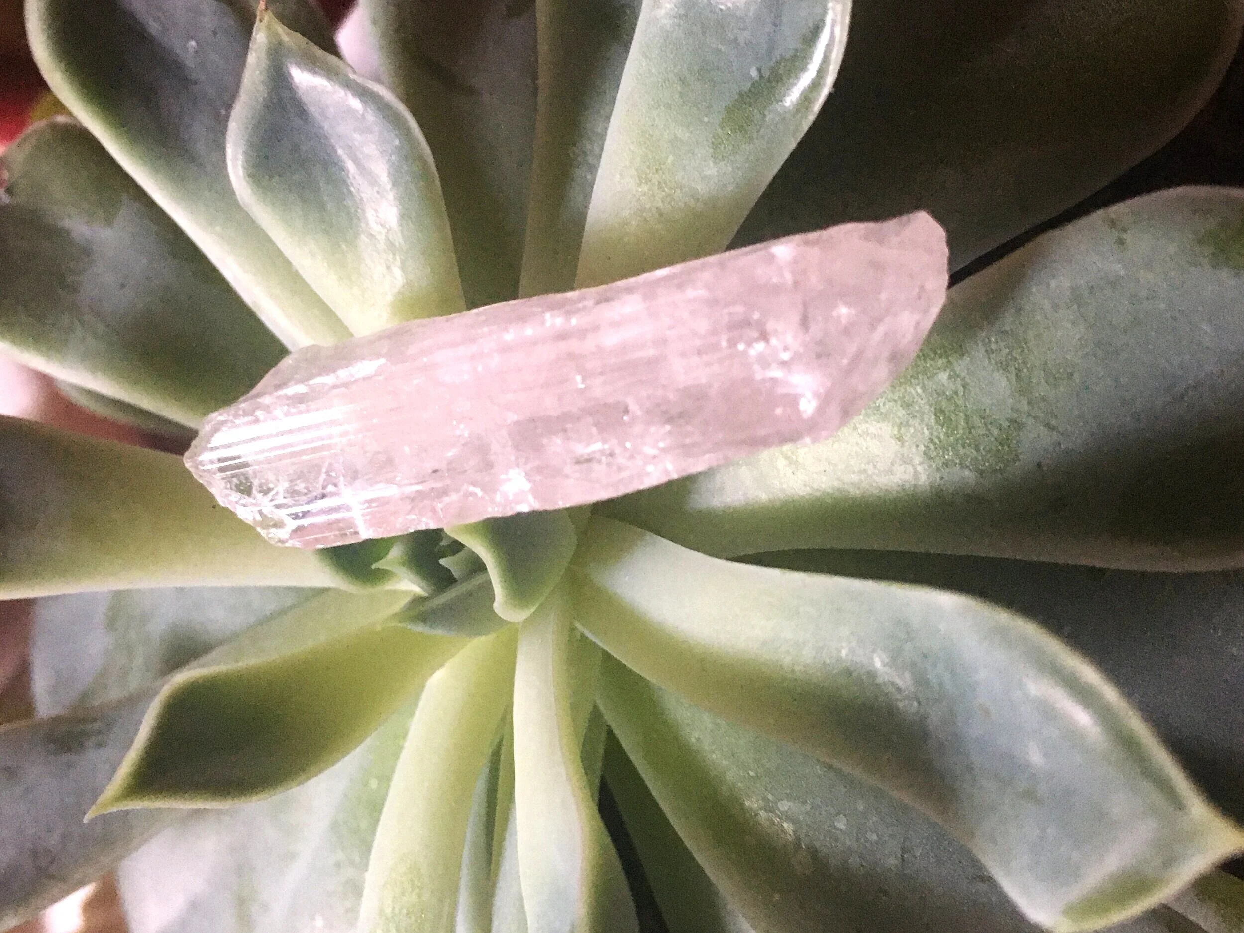 97931DED-E87F-4388-AB3E-3B3C52656AEB