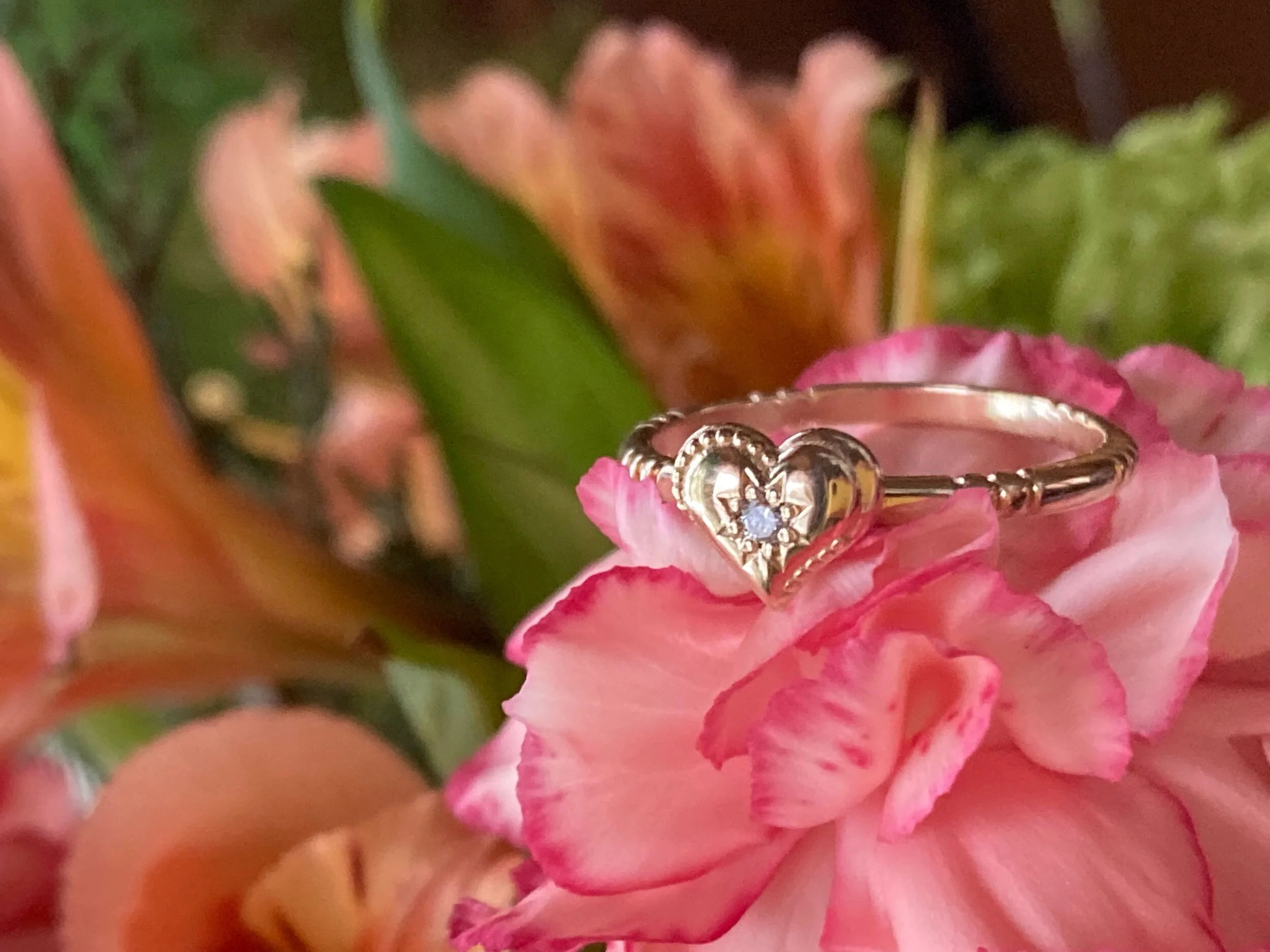 F093C2CB-AC12-437B-B334-5FEE4EB3F365