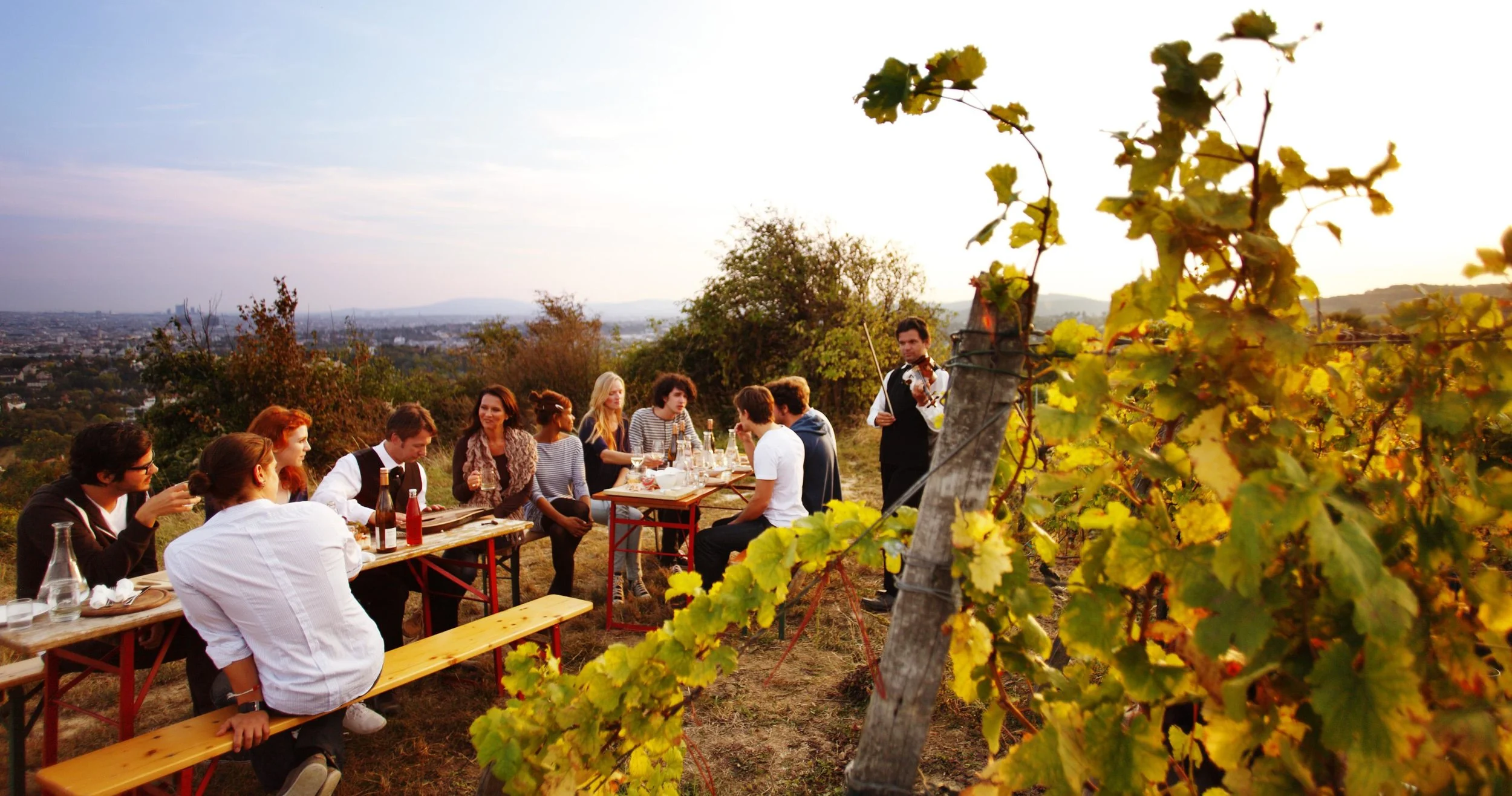Vienna Wine Hiking Day