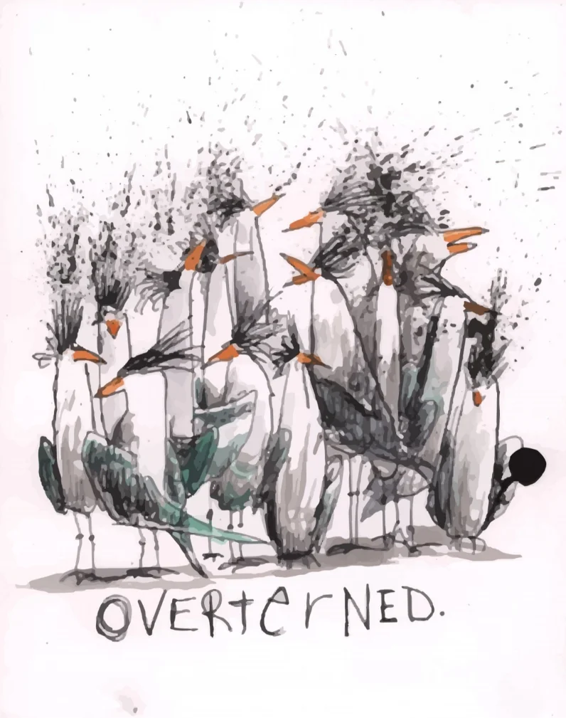 overternedsatern_v.jpg