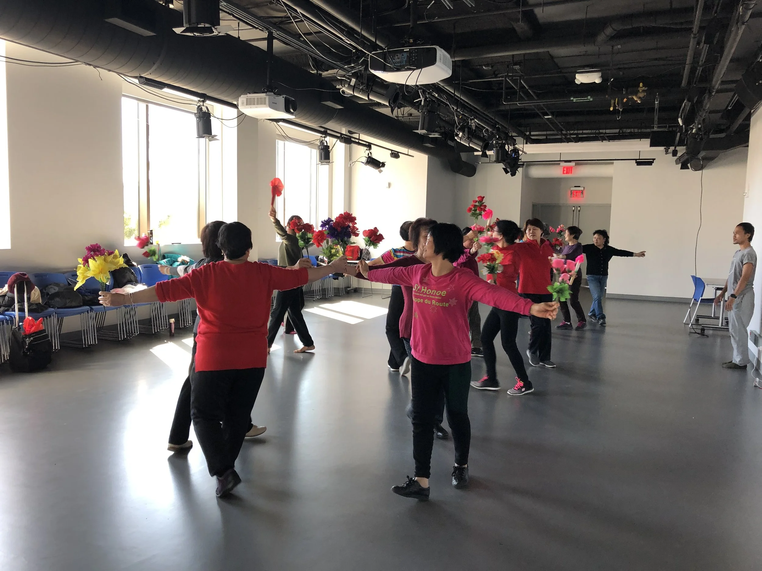 Silent Flight - Dance Performance Reprise