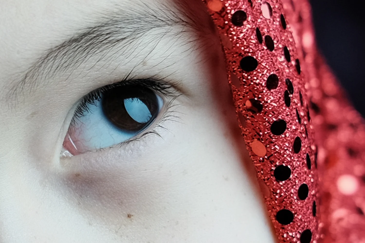 A close crop of my daughters eye from the previous image