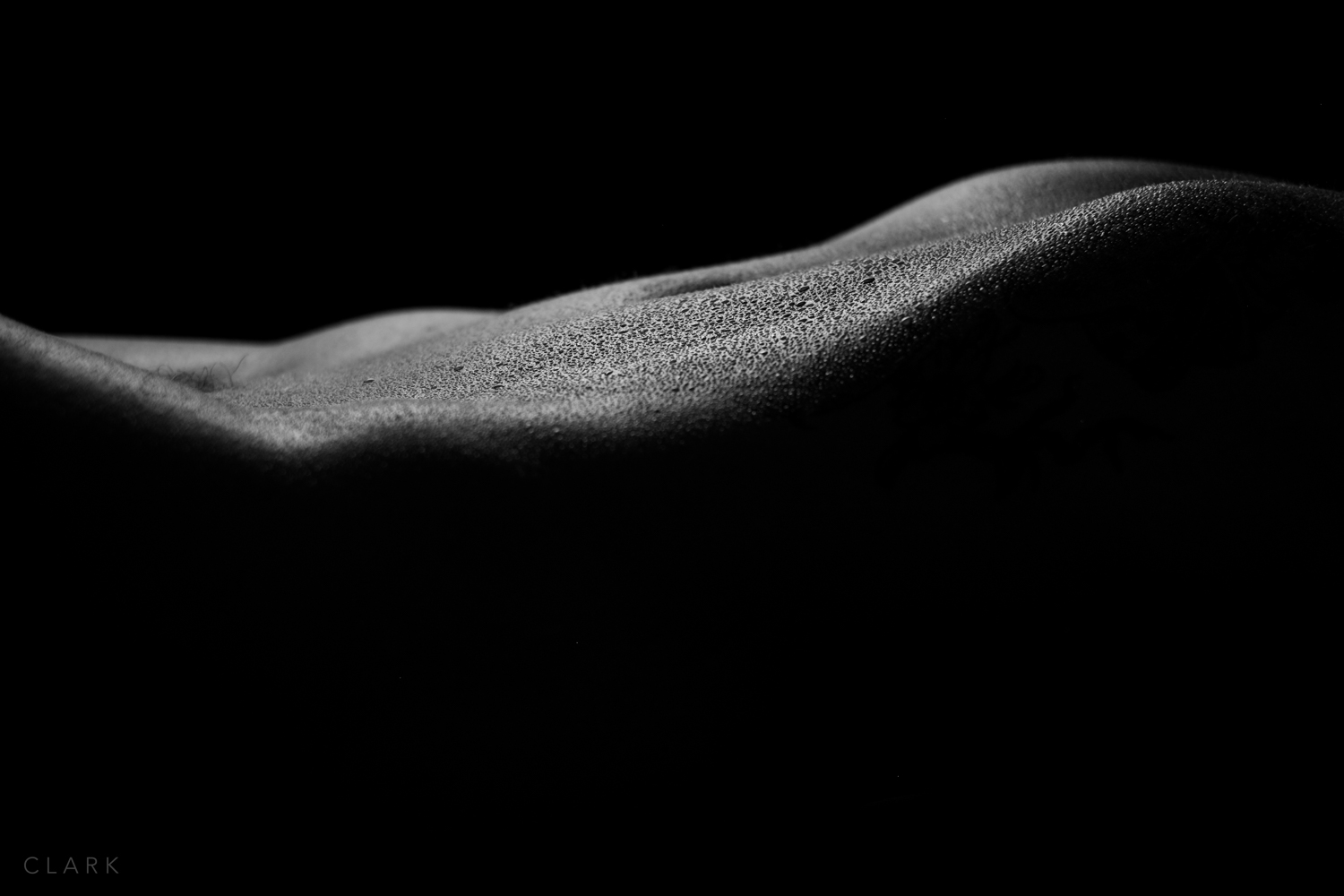 014_DerekClarkPhoto-Fine_Art_Nude.jpg