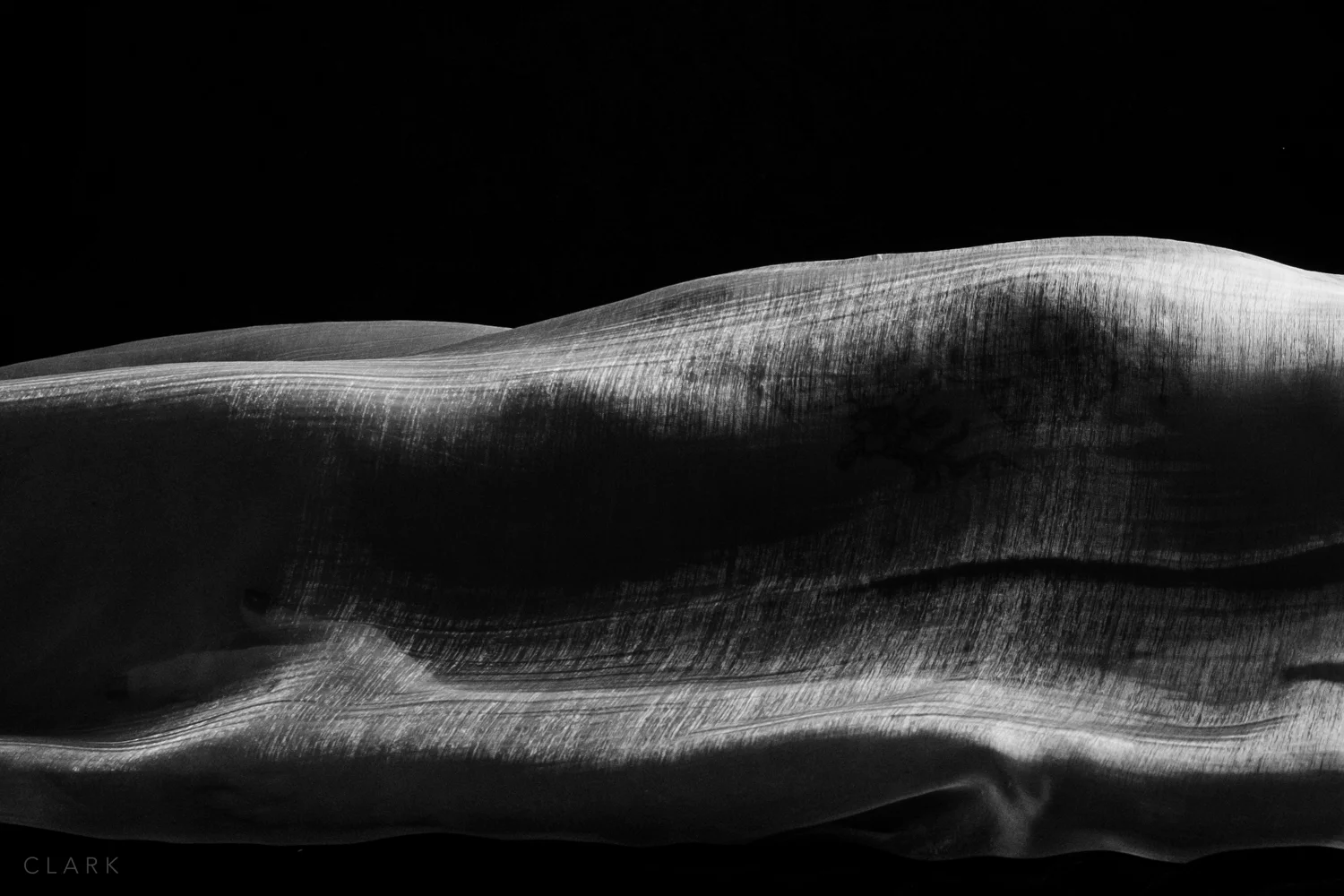 012_DerekClarkPhoto-Fine_Art_Nude.jpg