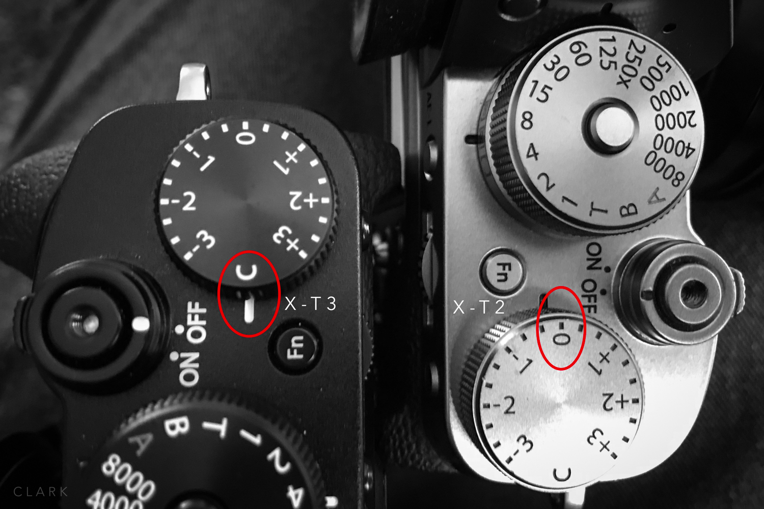 004_DerekClarkPhoto-Fujifilm_X-T3_X-T2.jpg