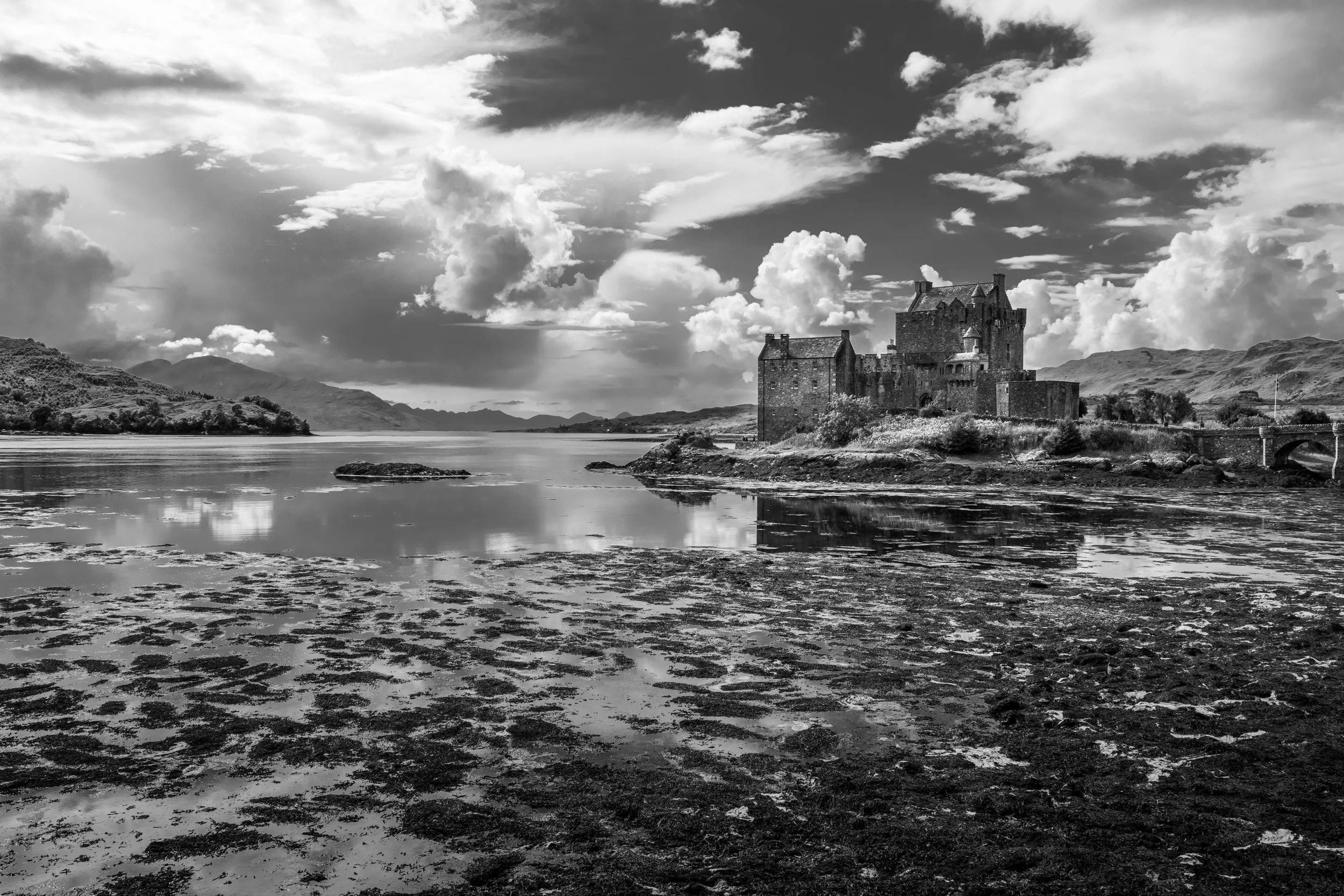 023-Scotland Landscape.jpg