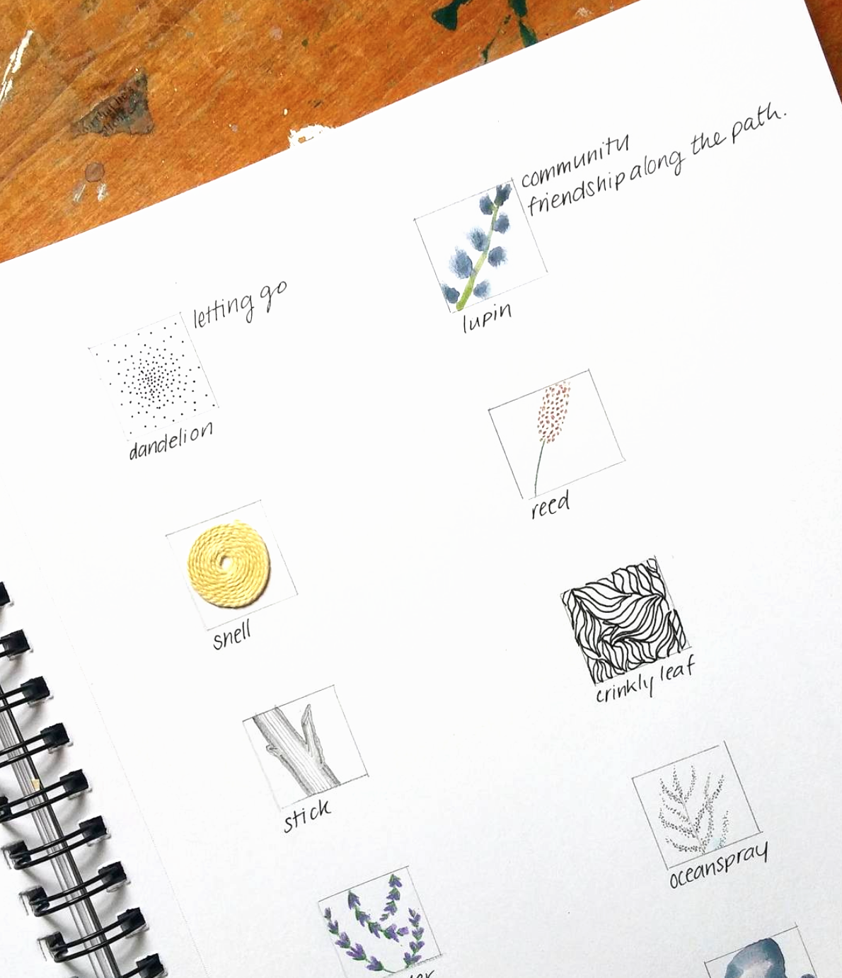 A peak at Charlotte's visual vocabulary