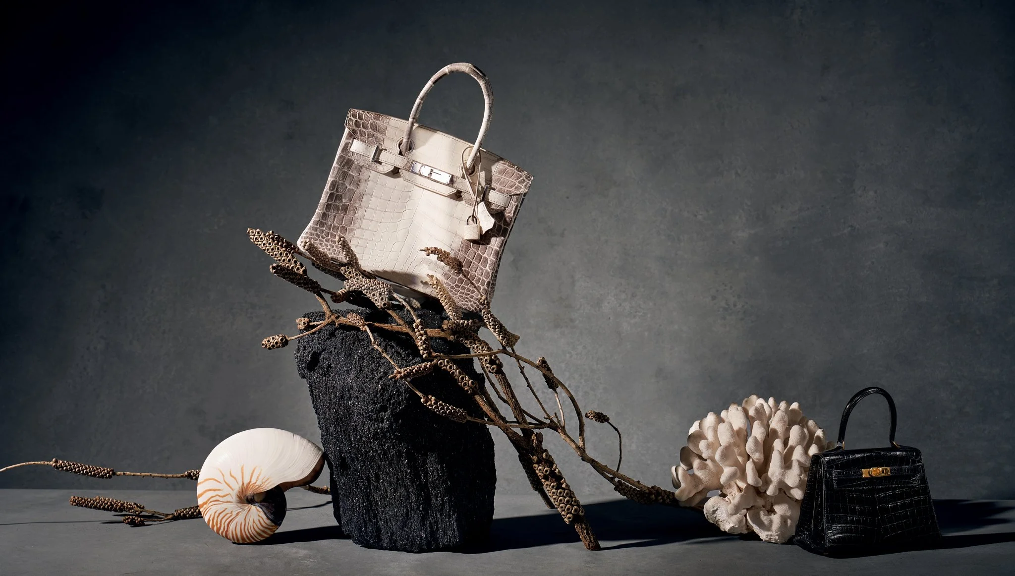 HIMELAYAAAA EITORIAL.jpg