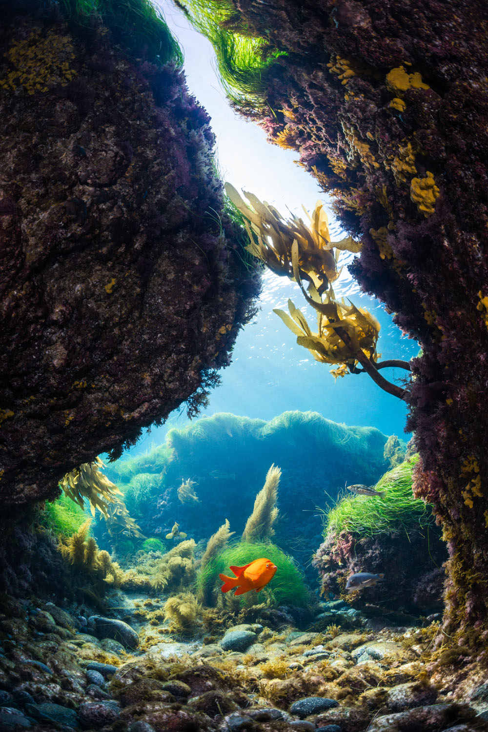 garibaldi-caverns.jpg