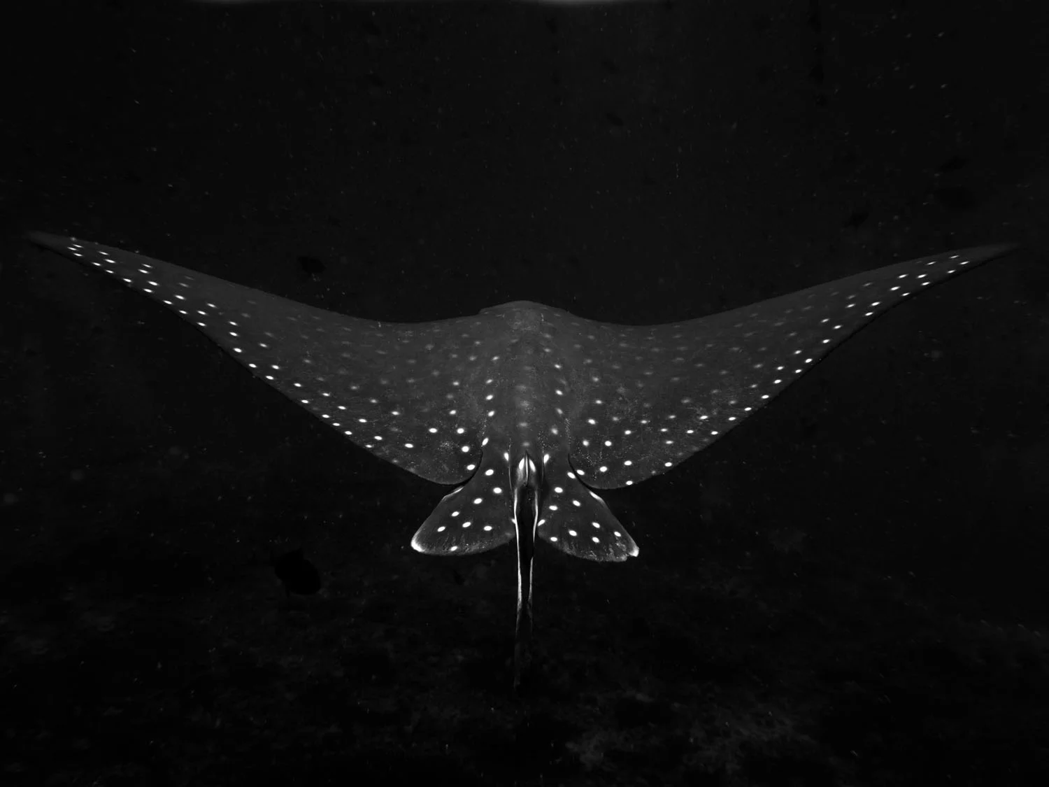 underwater-galaxy.jpg