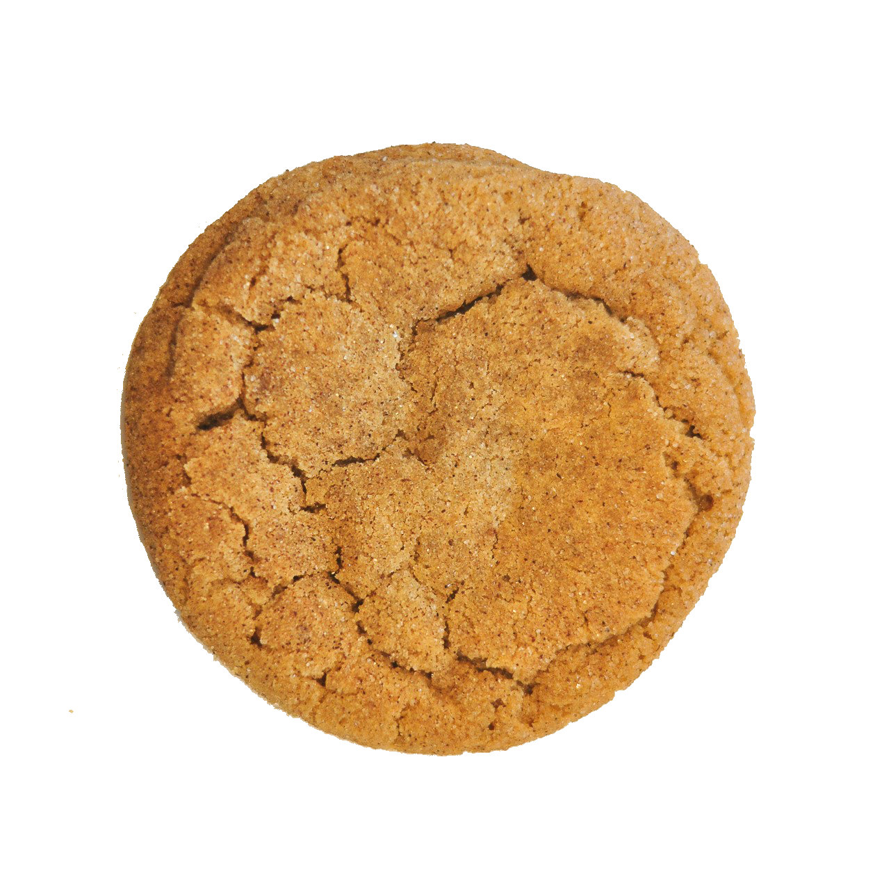 Snickerdoodle