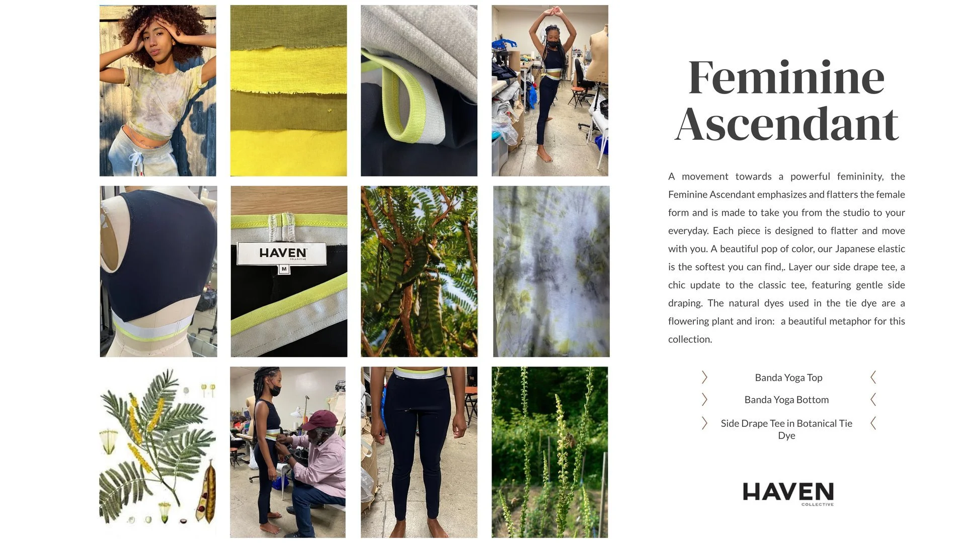 haven_merch_slide04.jpg