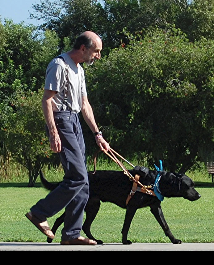 Lessons From Dog School
