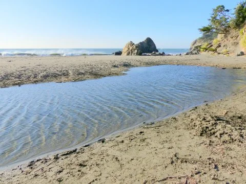 Unless flood waters cut through this sandbar, no salmon could swim into Redwood Creek from the ocean beyond.