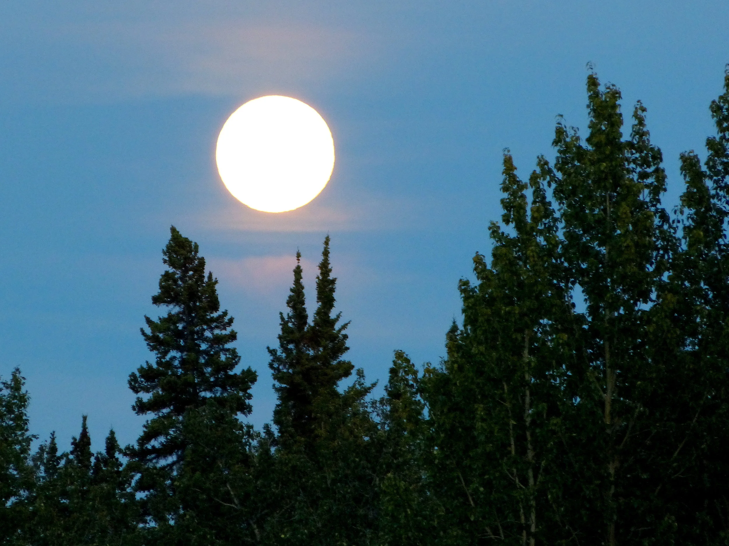 Today, as in ancient times, king salmon end their journeys, wolves howl, and travelers watch the full moon rise above the Nisutlin River