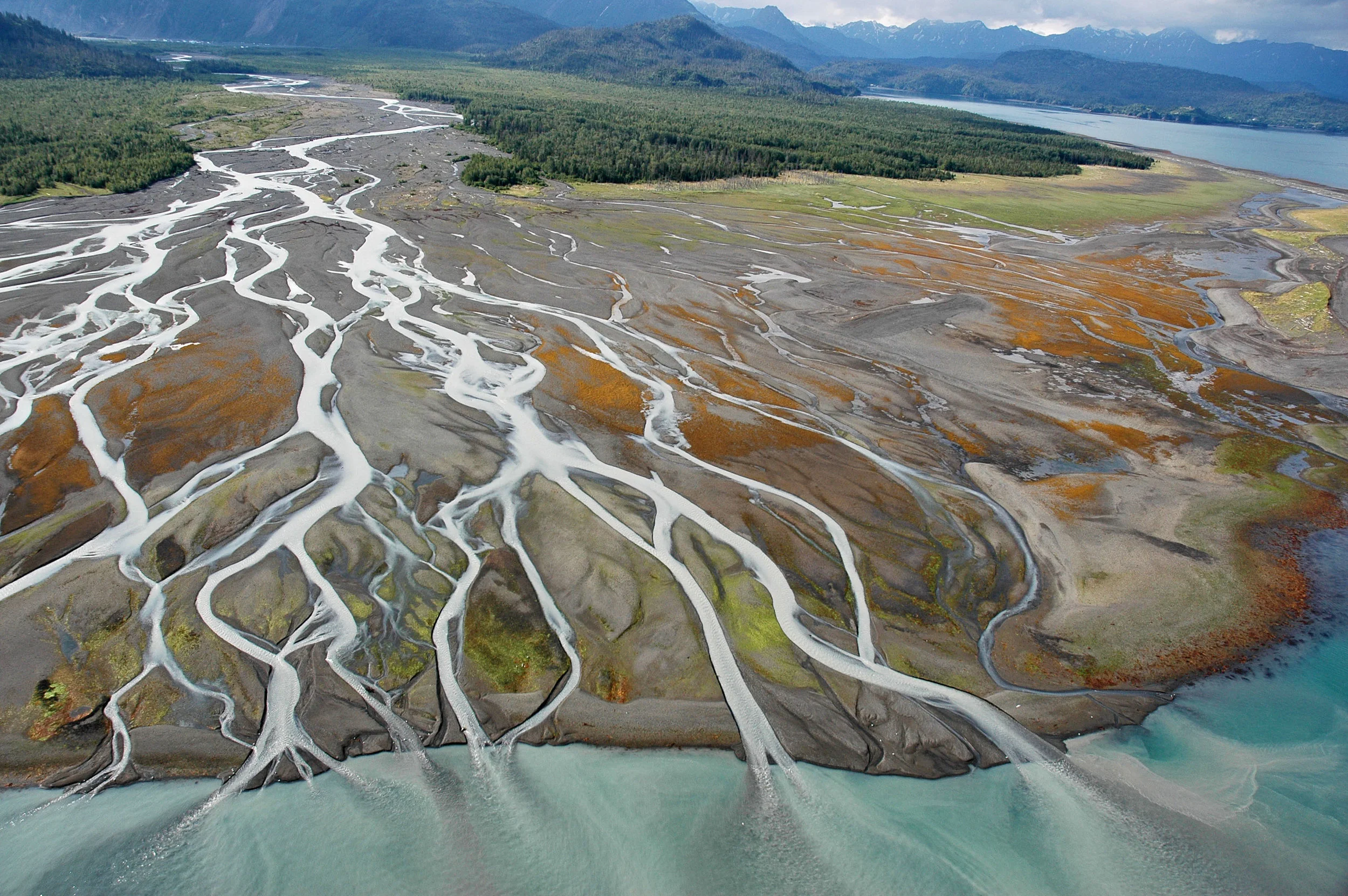 Every estuary is bursting with life — life that gives back to all of us — and Alaska has more estuaries than the entire lower 48 states combined. Kachemak Bay, AK. Photo credit: Alaska Shorezone.