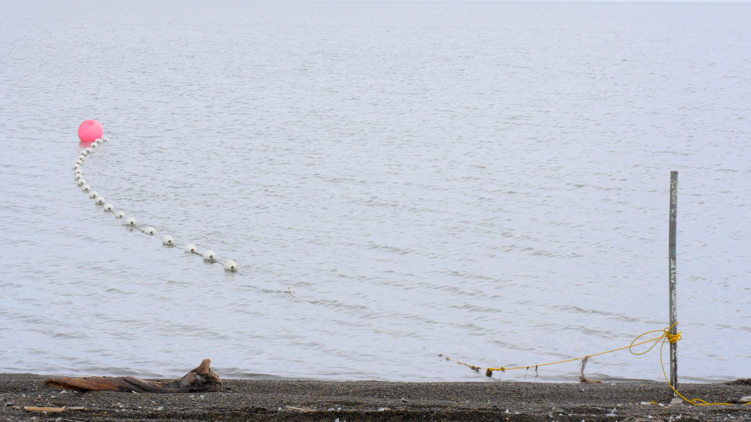 Currents and winds in Elson Lagoon can be very strong, so Barrow residents anchor the shoreward ends of their gillnets with heavy weights or with stakes like this metal pole. (Photo credit: Liz McKenzie)