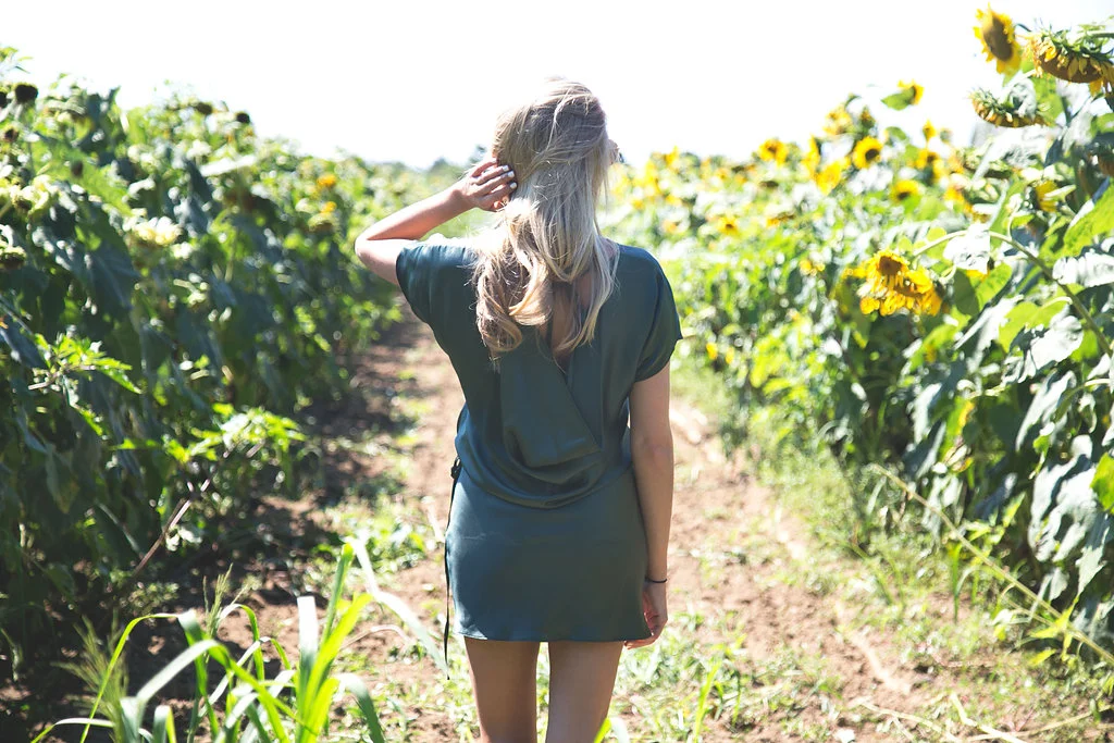 Sunflower-55copy.jpg