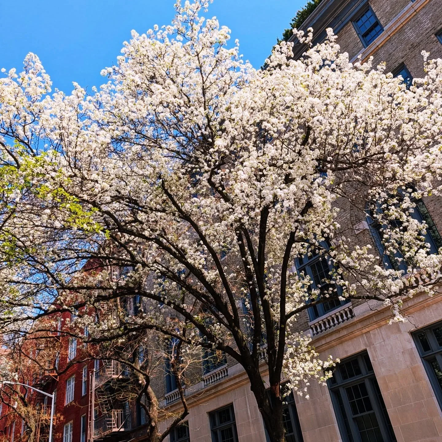 When #Spring is springing!

#styledirector #creativedirector  #teampixel