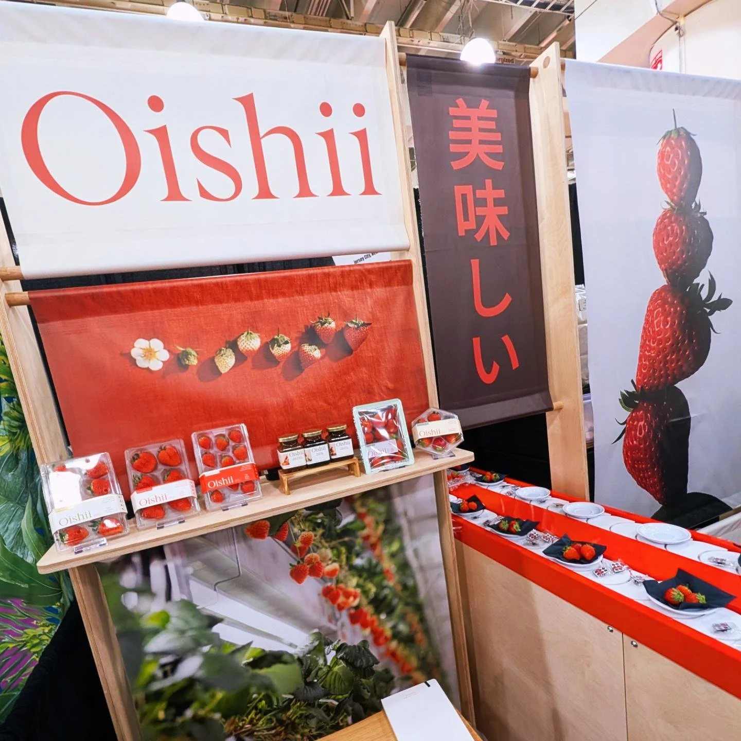 SK STUDIO OUT + ABOUT | SUMMER FANCY FOOD SHOW