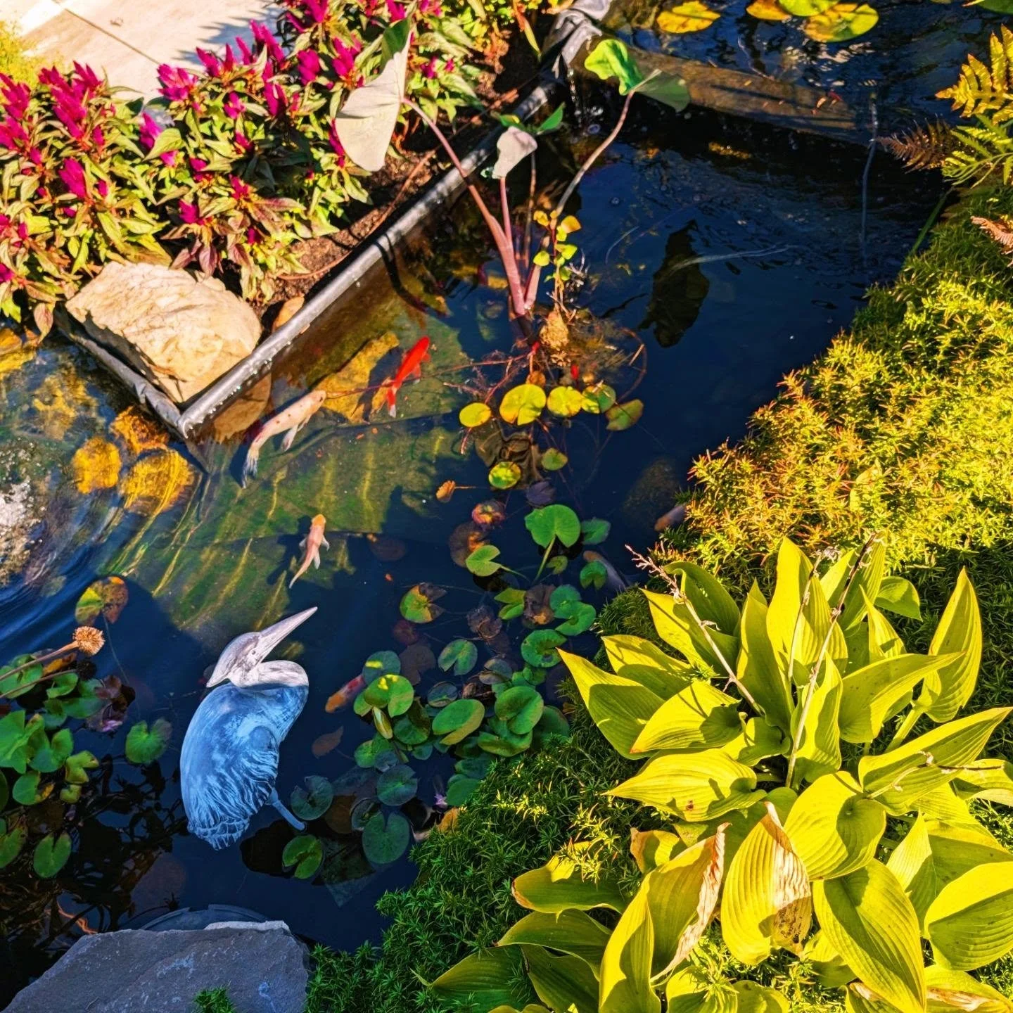 Started yesterday with a bit of meditation, koi, and a bit of a breather before heading to the last day of #NYFW

#styledirector #creativedirector #teampixel