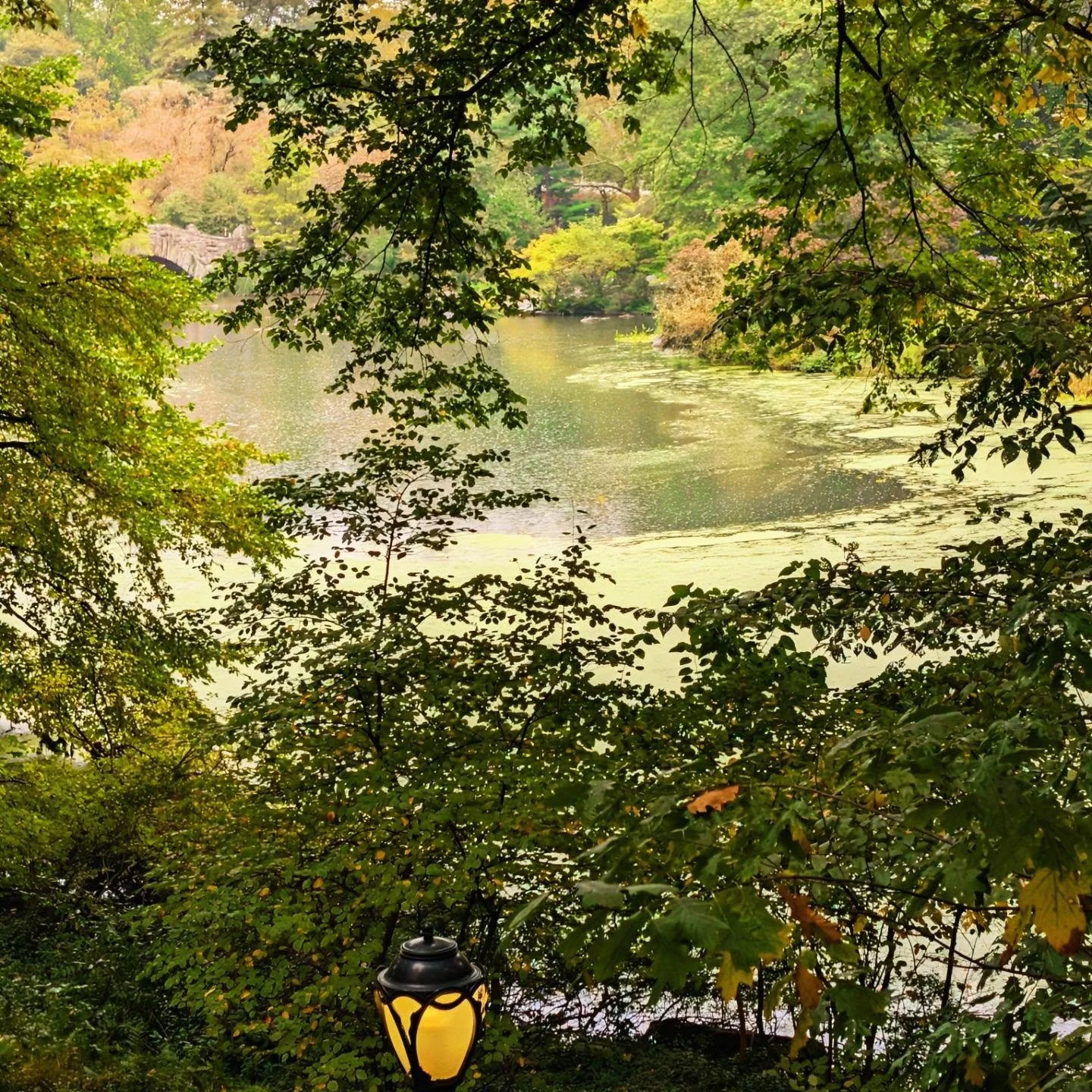 Rainy days when you have a lot to do but you take in the view at #centralpark

#styledirector #creativedirector #teampixel