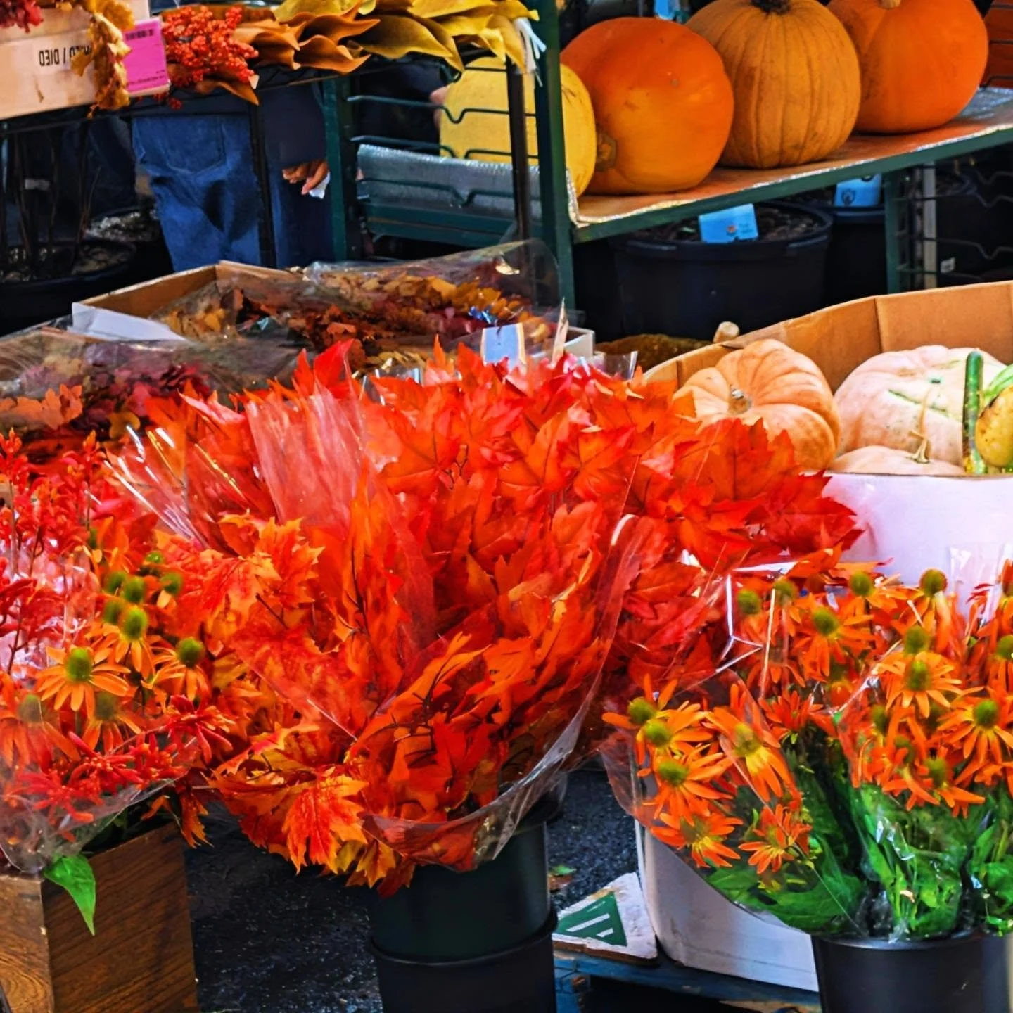 Always love walking through the #floraldistrict especially when it is during the Fall!

#styledirector #creativedirector #teampixel