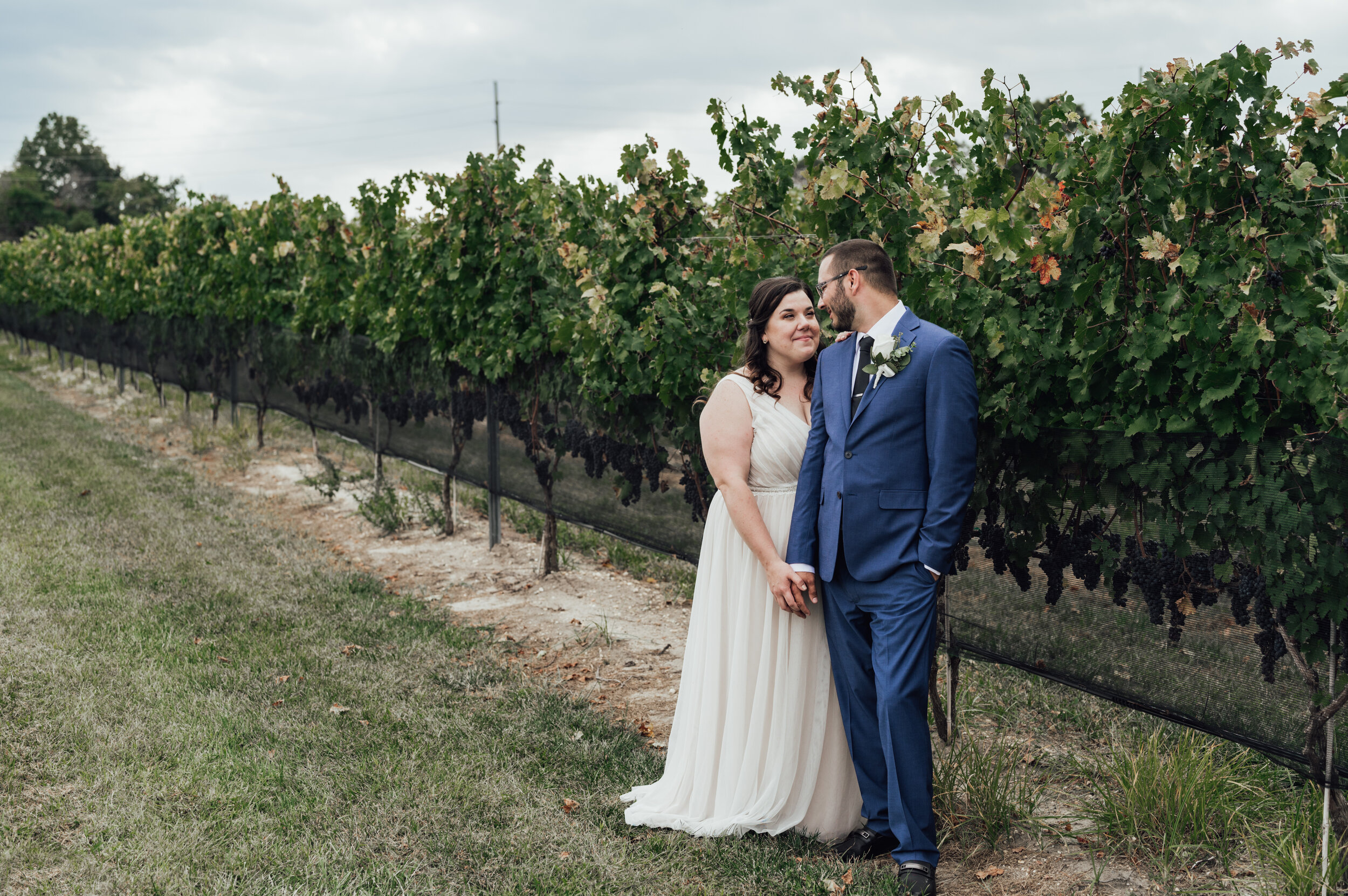 white-horse-winery-wedding-photos 13.jpg