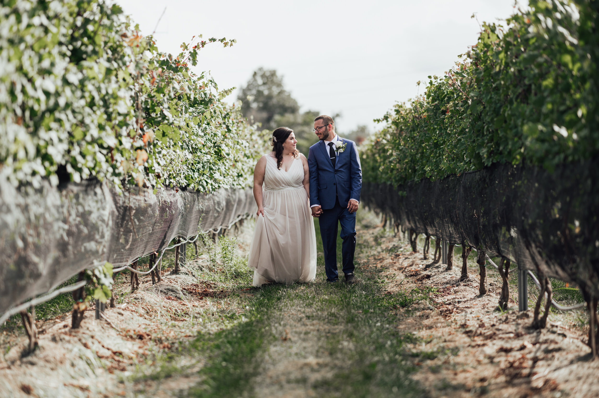 white-horse-winery-wedding-photos 18.jpg