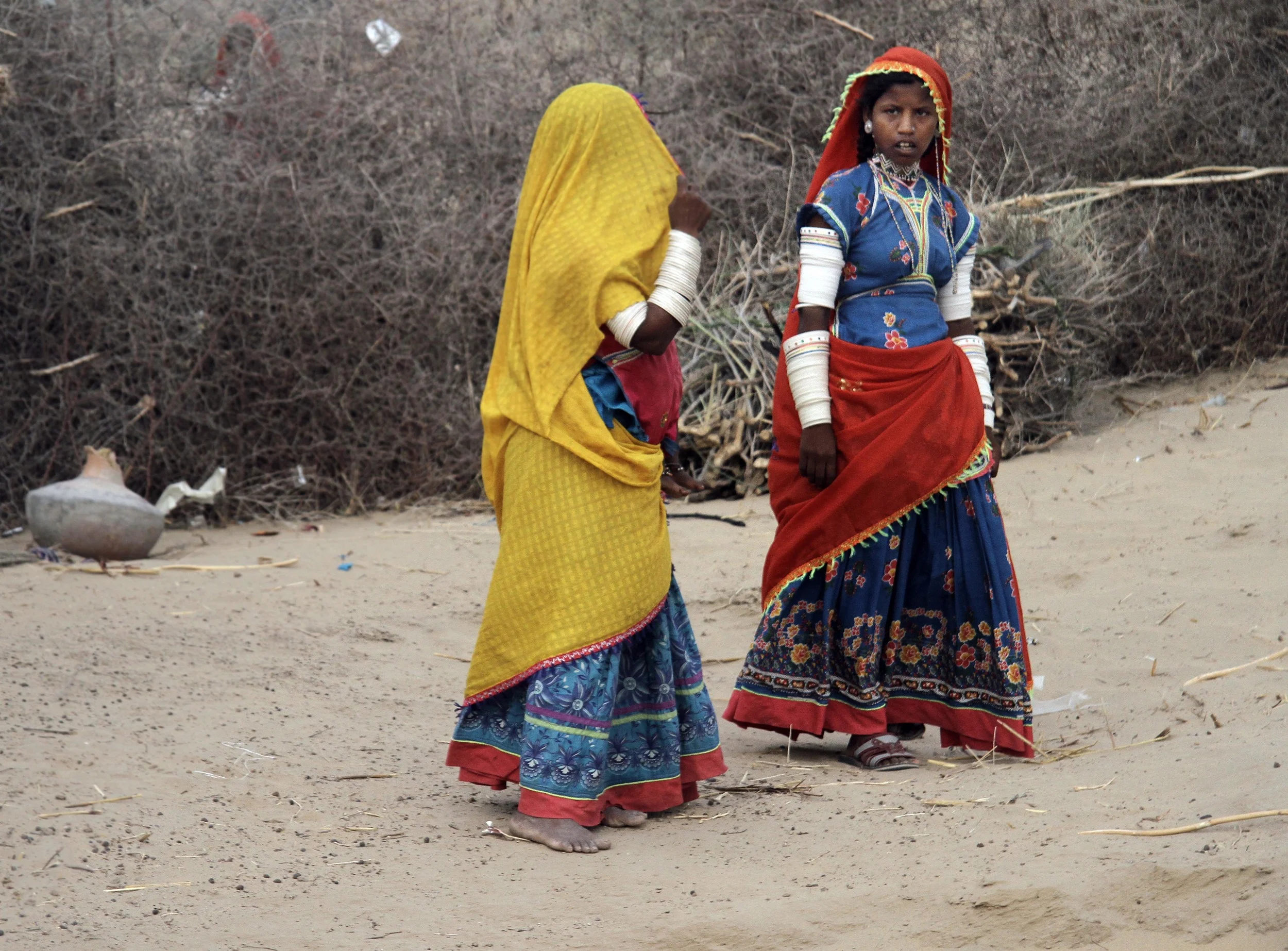 Thar Desert / 2011