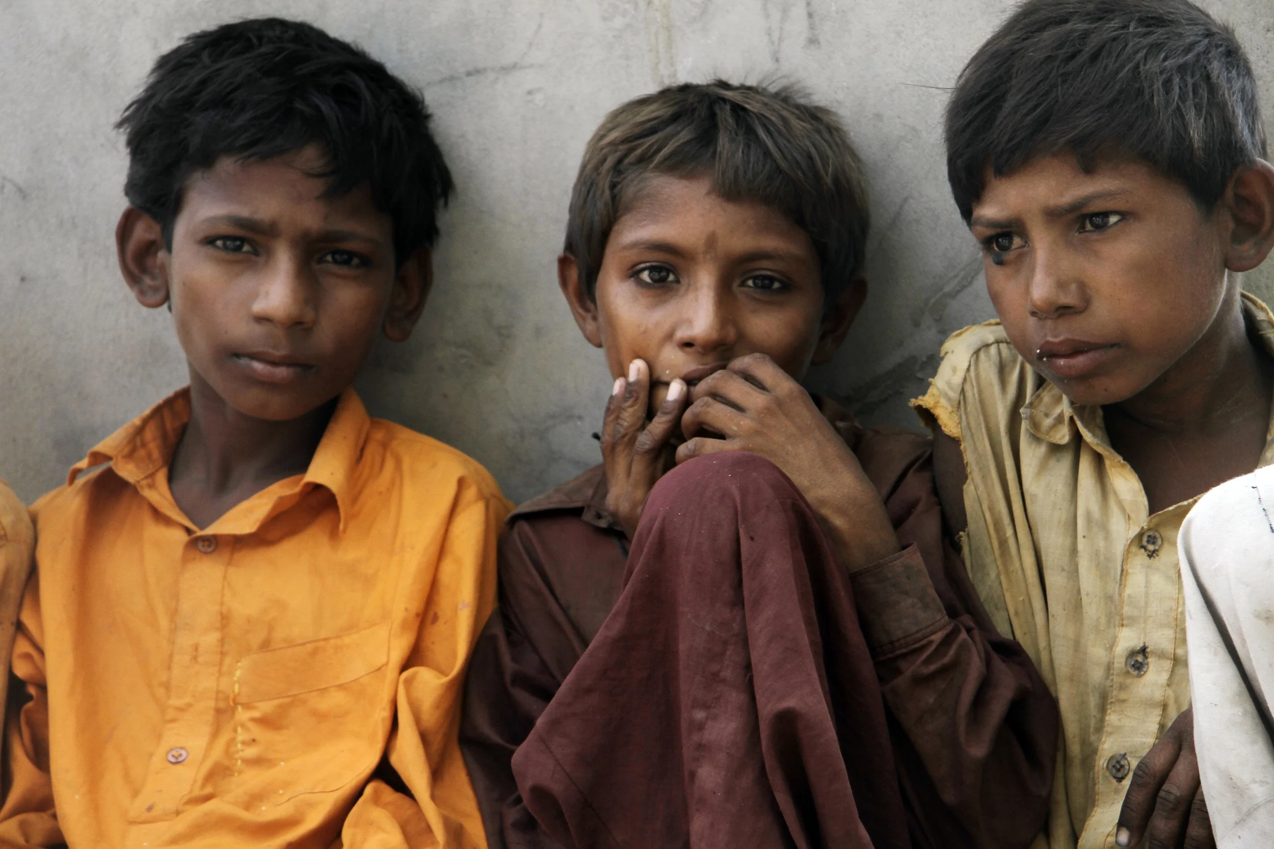 Thar Desert / 2011