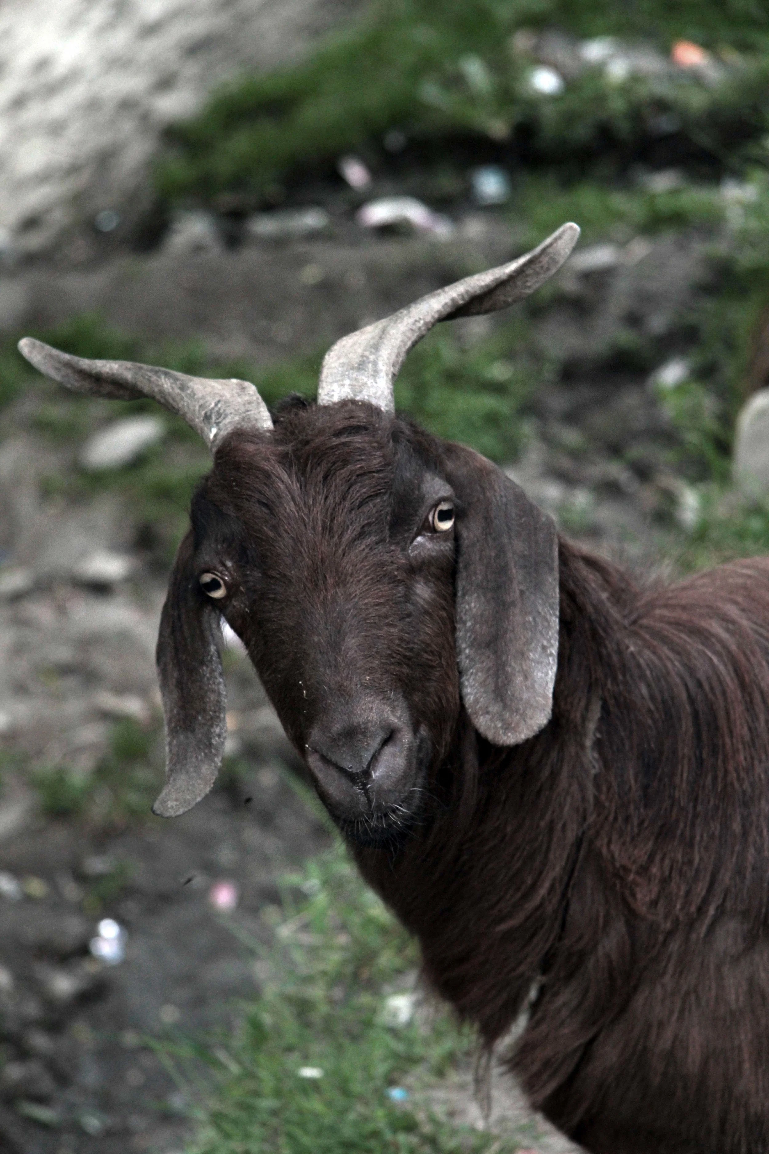 Gilgit-Baltistan / 2011