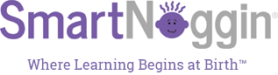 SmartNoggin-Logo-317-278x75.png