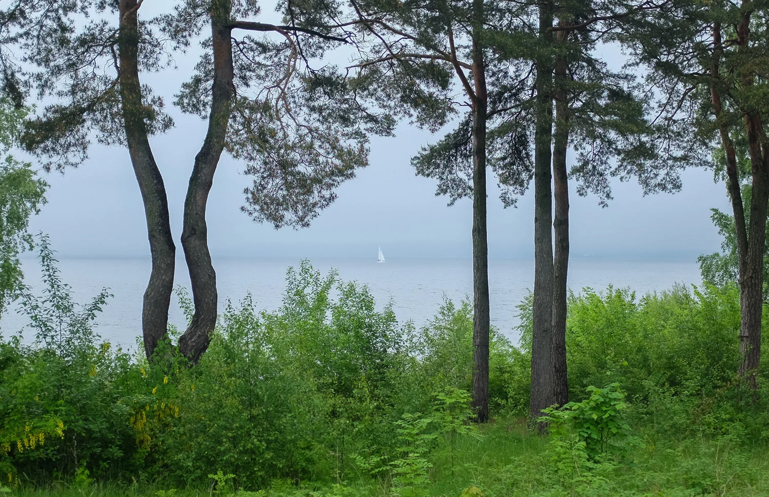 Karljohansvern-naturen-DSCF2906.jpg