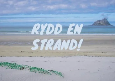 Rydd-en-strand-367x260.jpg