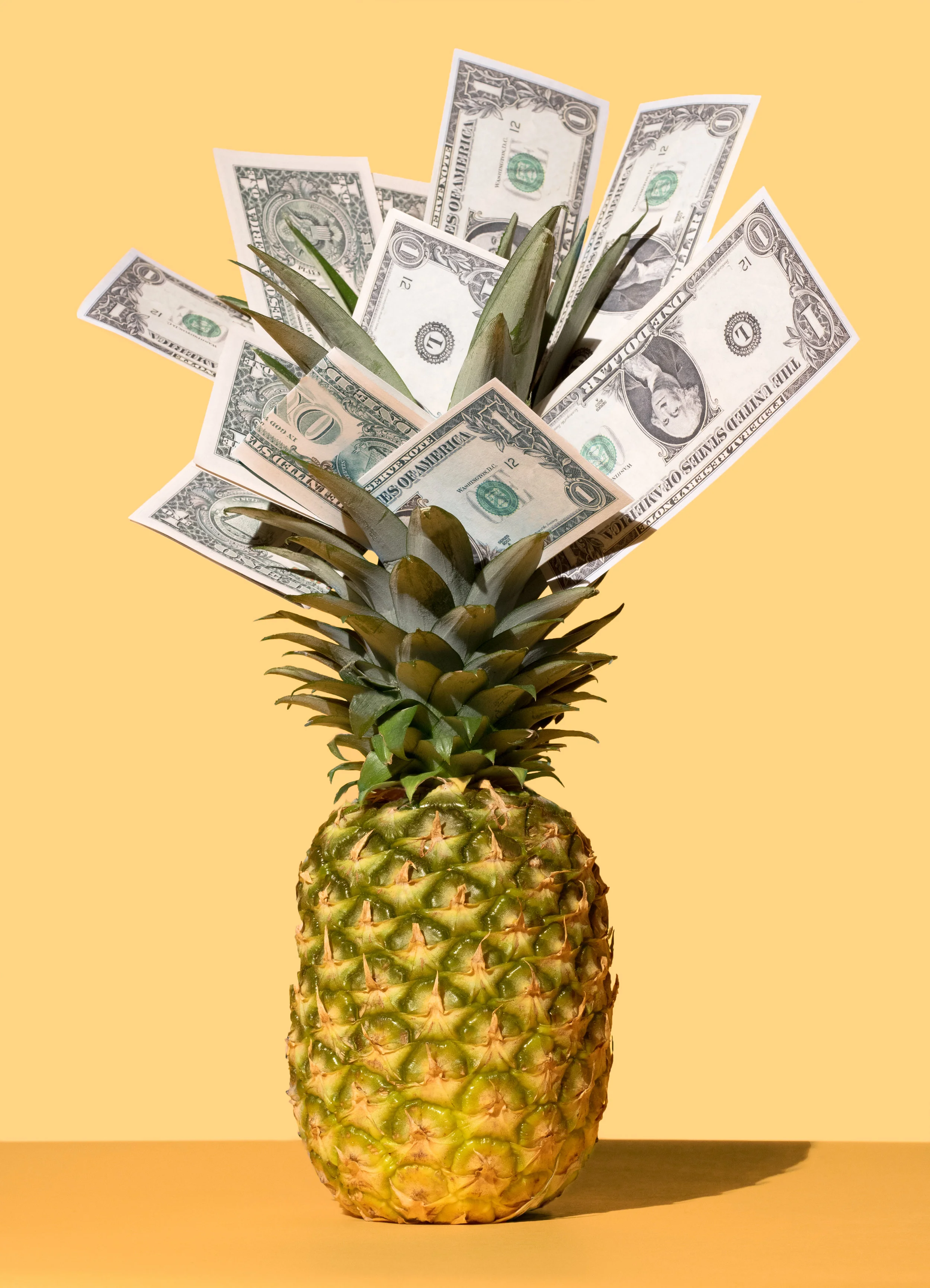 Pineapple.jpg