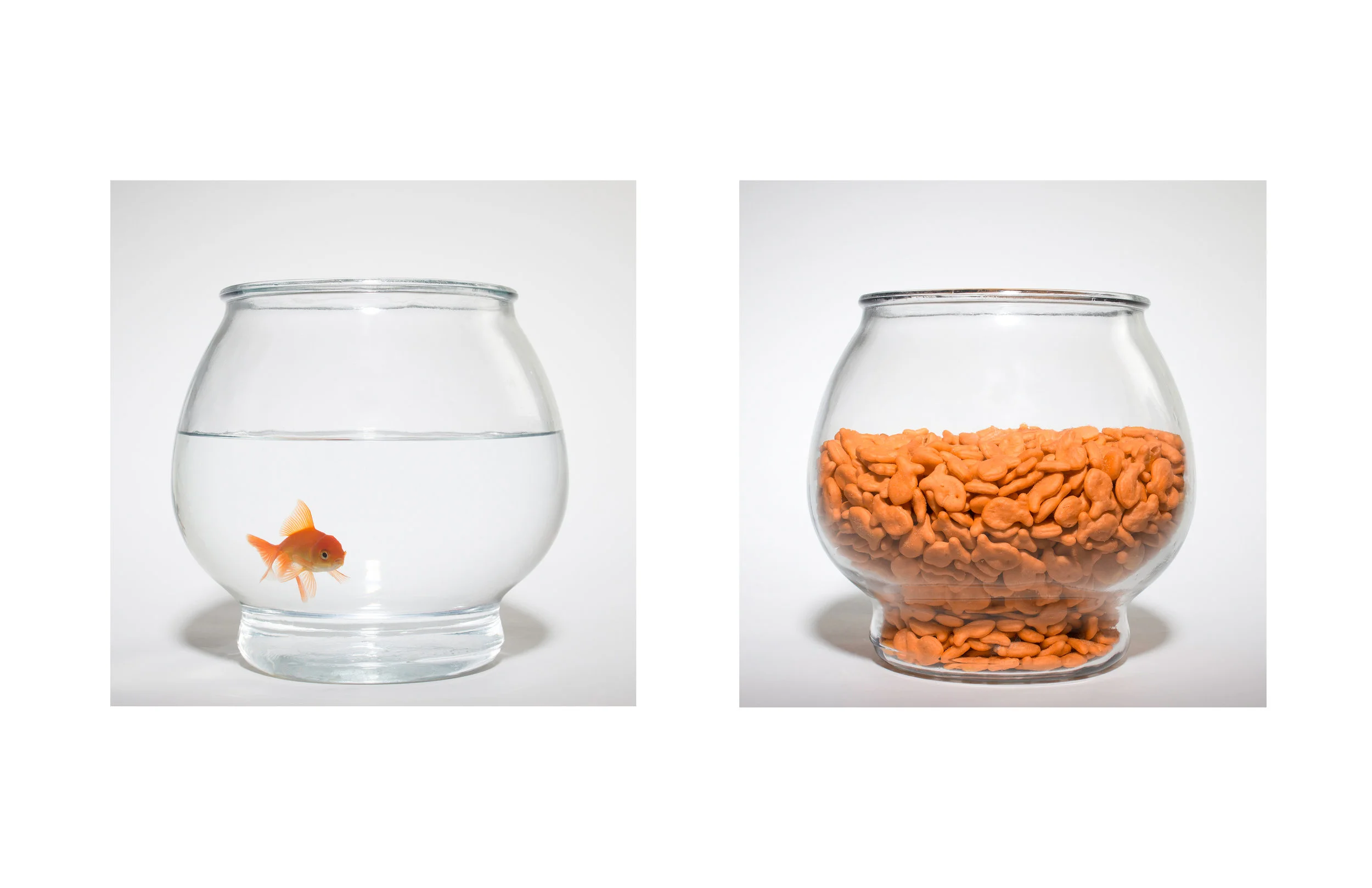 Fish.jpg