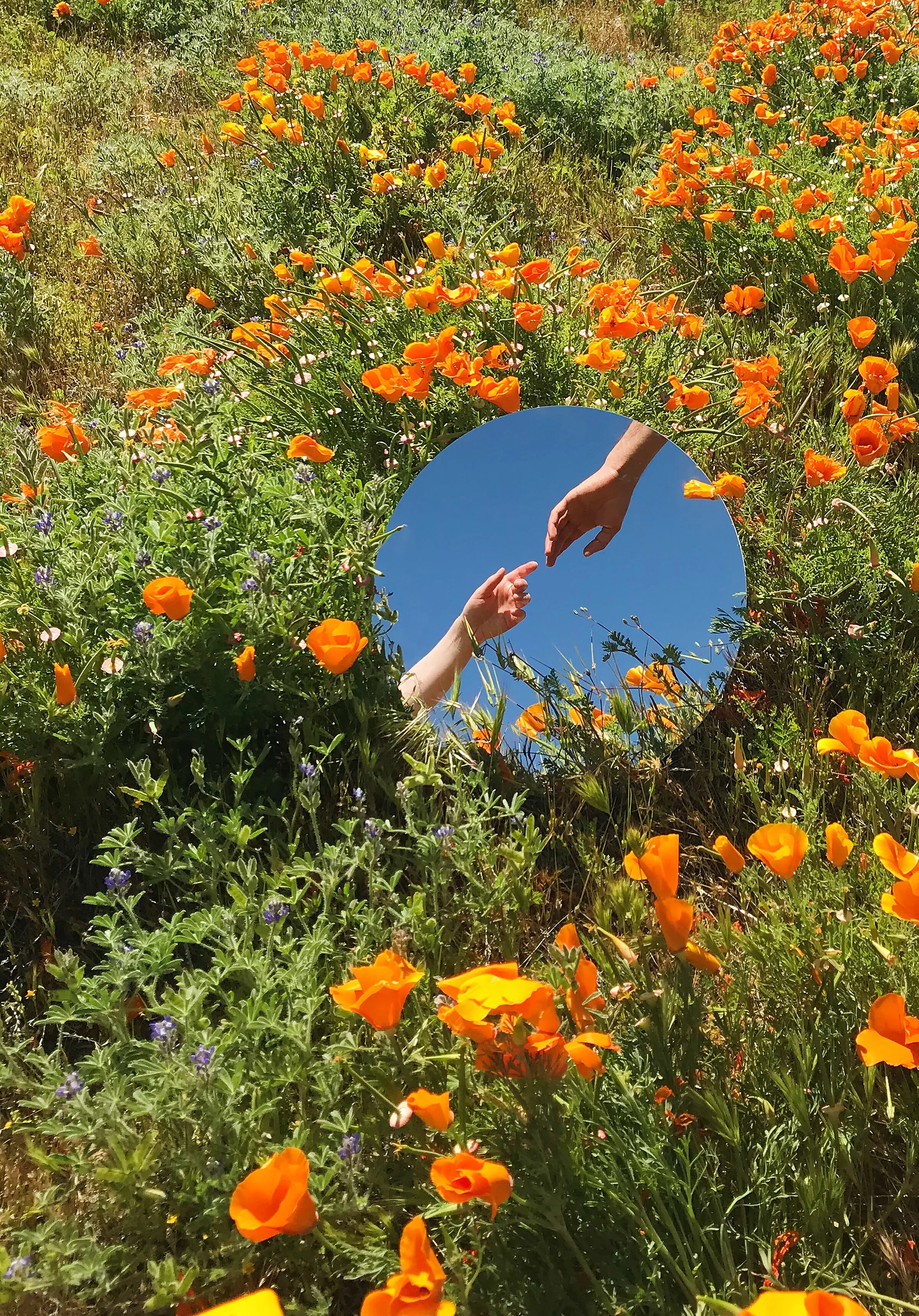 E1515B81-1BBE-4C23-AAA4-7DB74AA95339 2.JPG