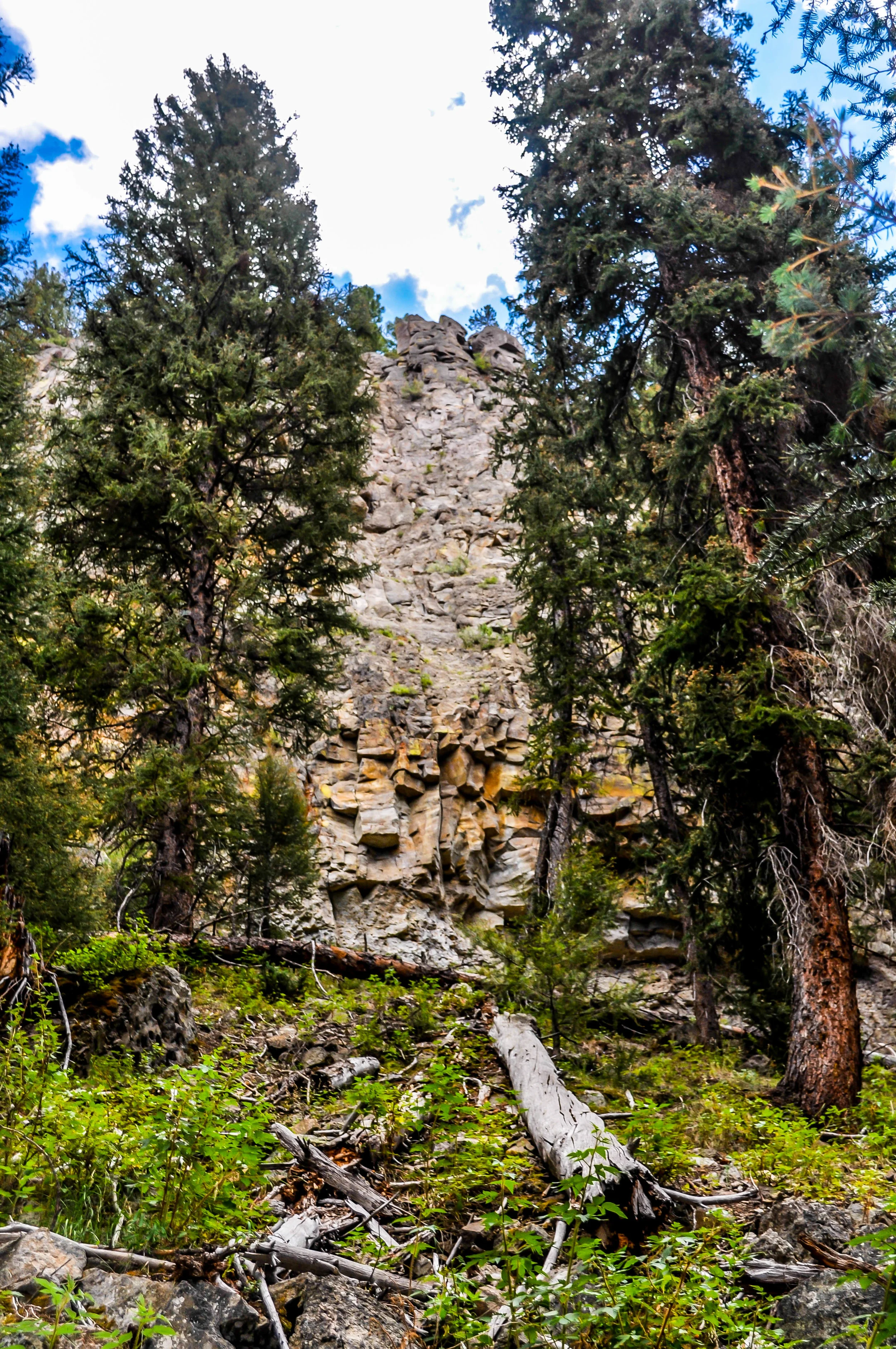 DSC_0443.jpg