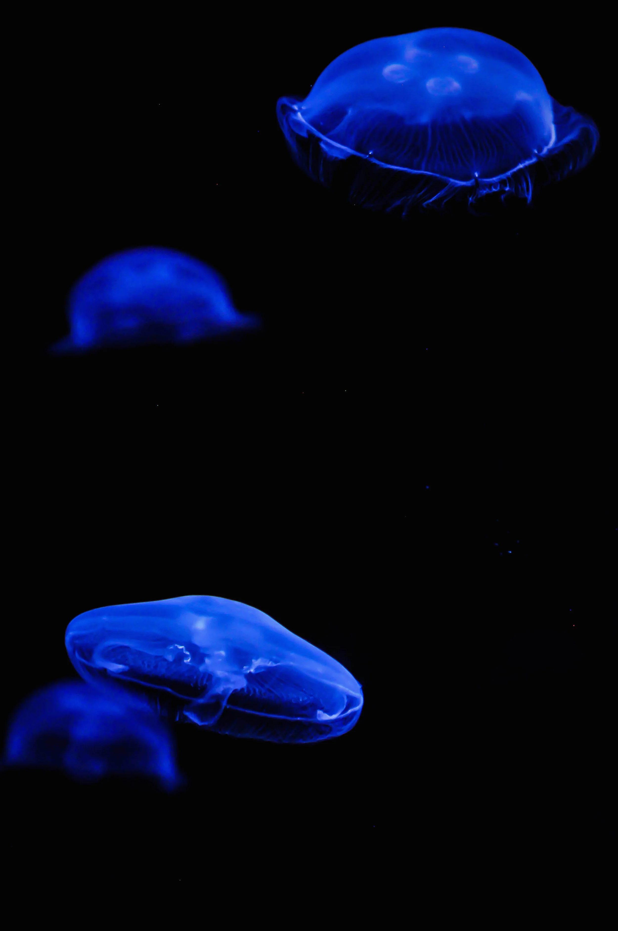 DSC_0187.jpg