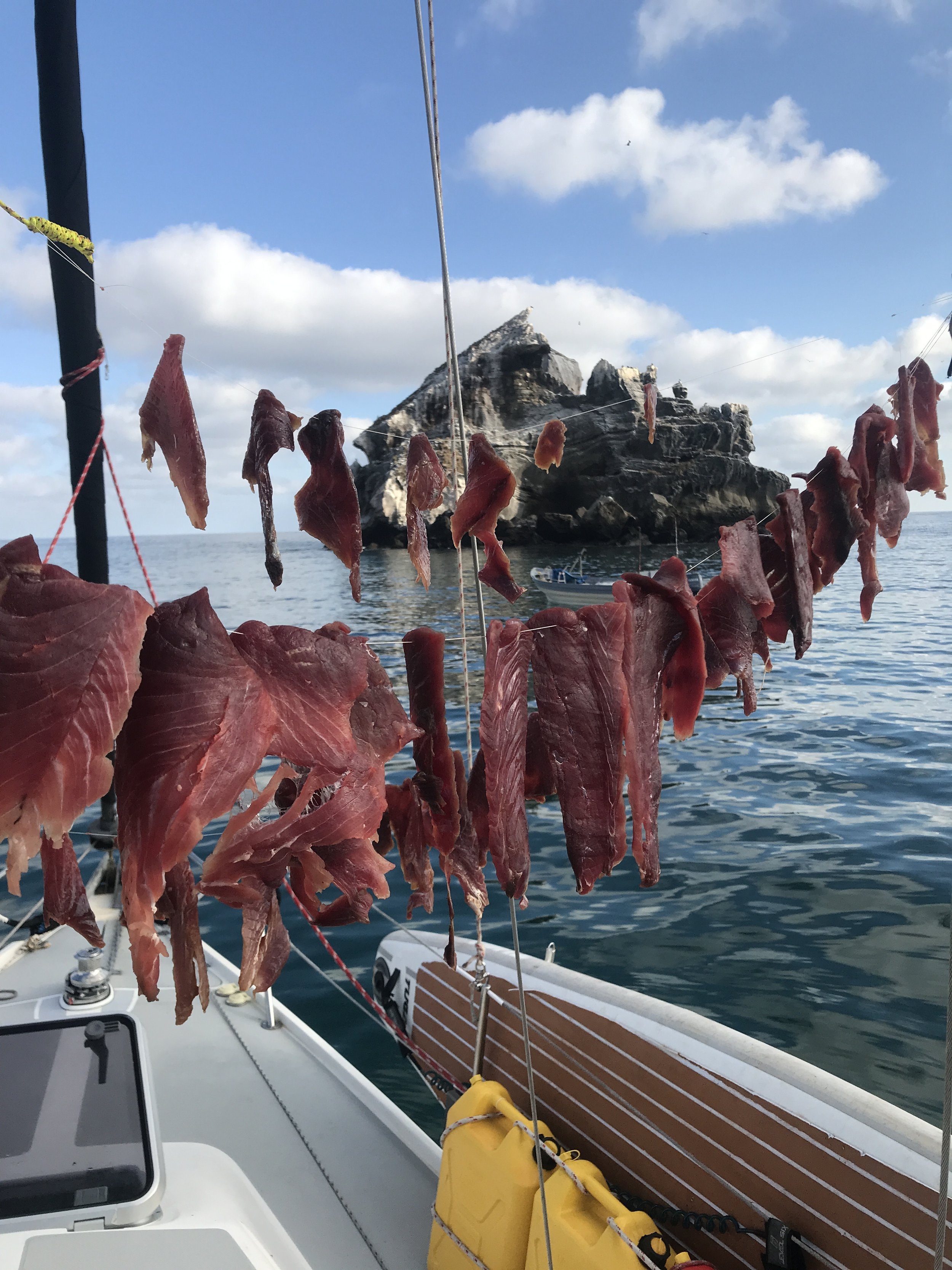 Sun-dried Fish Jerky RECIPE