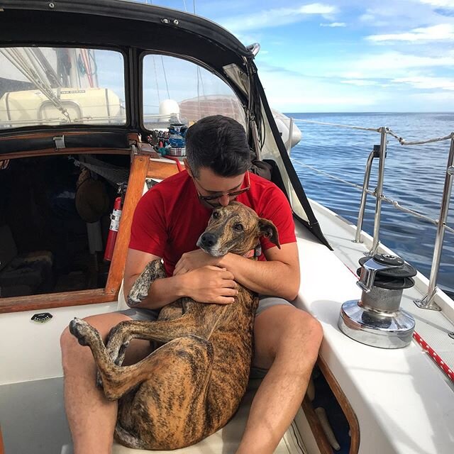 These two! 😍😍😍 wished we could be self isolating in the warmth of Mexico surrounded by the sea, love and cuddles! At least we still have each other, the love and all the cuddles! How has the current situation affected your sailing plans? .
.
.
#se