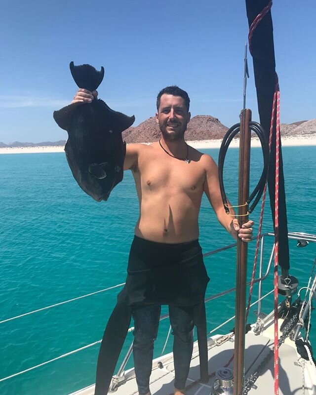 Who knew trigger fish could get that big!? I was telling friends the other day that I caught a trigger fish the size of my chest last season and forgot I actually had a picture of it. This fish feed 3 boats ceviche for days, so grateful of the abunda