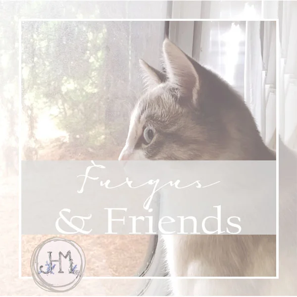 pinterest board cover furgus and friends 1.jpg